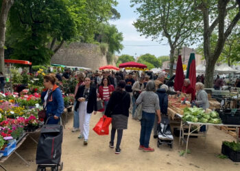 Pour ou contre le retour du marché du samedi matin de Carcassonne en coeur de ville ?