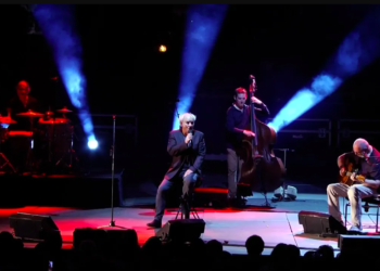 Maxime Le Forestier en concert sur la scène de Chénier