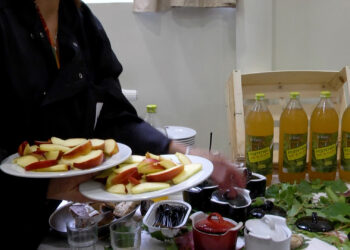 Des produits locaux pour les repas des cantines des écoles de Carcassonne :